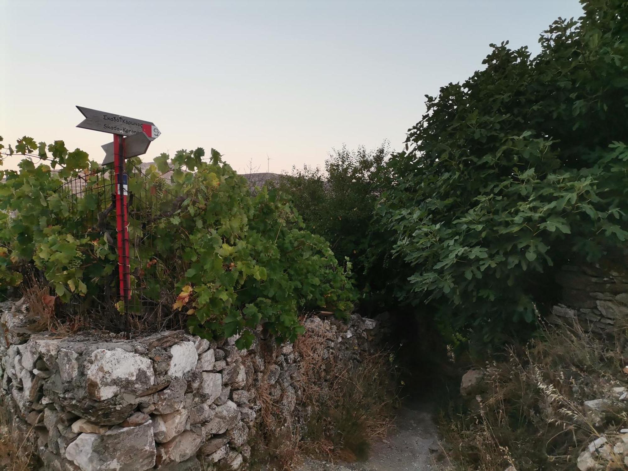 Апартаменты Naxos Mountain Retreat - Tiny House Build On Rock Koronos Экстерьер фото